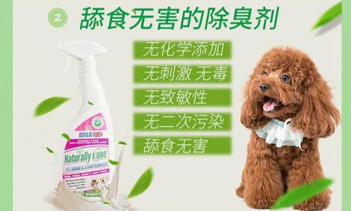 寵物消毒守護戰 十大產品排行榜深度解析，拜耳與科萊施王牌對決